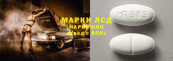 хмурый Арсеньев